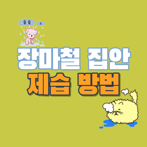 장마철 집안 습기 제거 방법